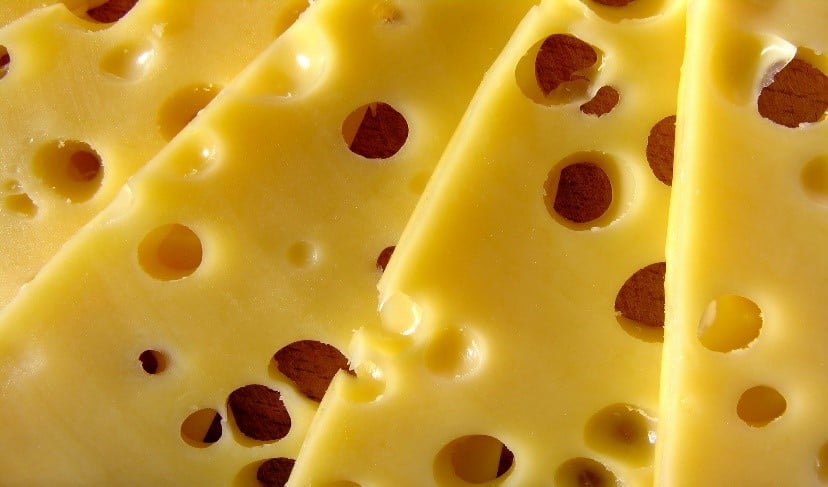 swiss cheese closeup